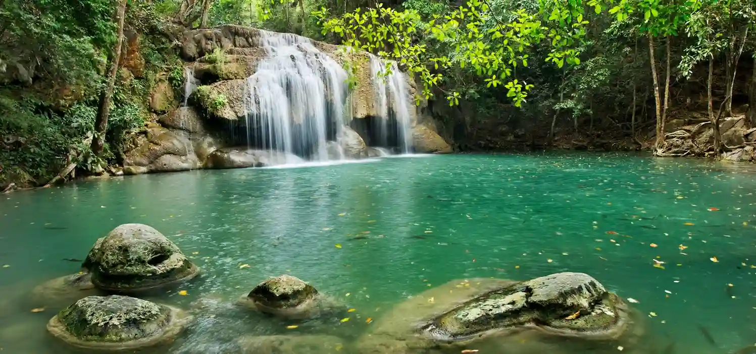 Gujarat Gir National Park