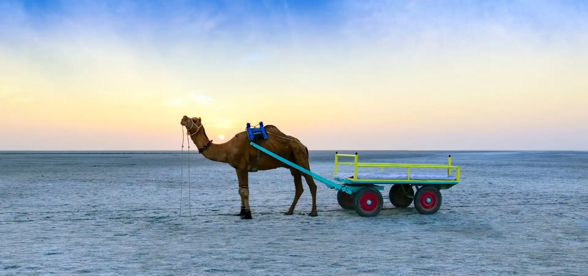 Gujarat Kutch