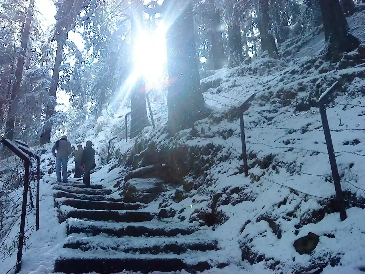 Why Kataria Tours is the Best Choice? Why Kataria Tours is the Best Choice?